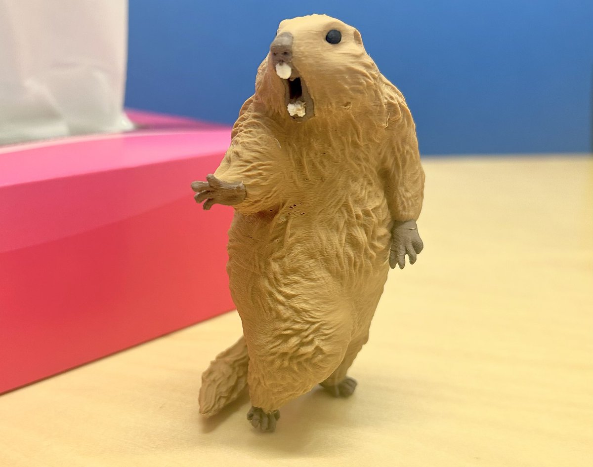 再販 びっくりマーモット 2000円