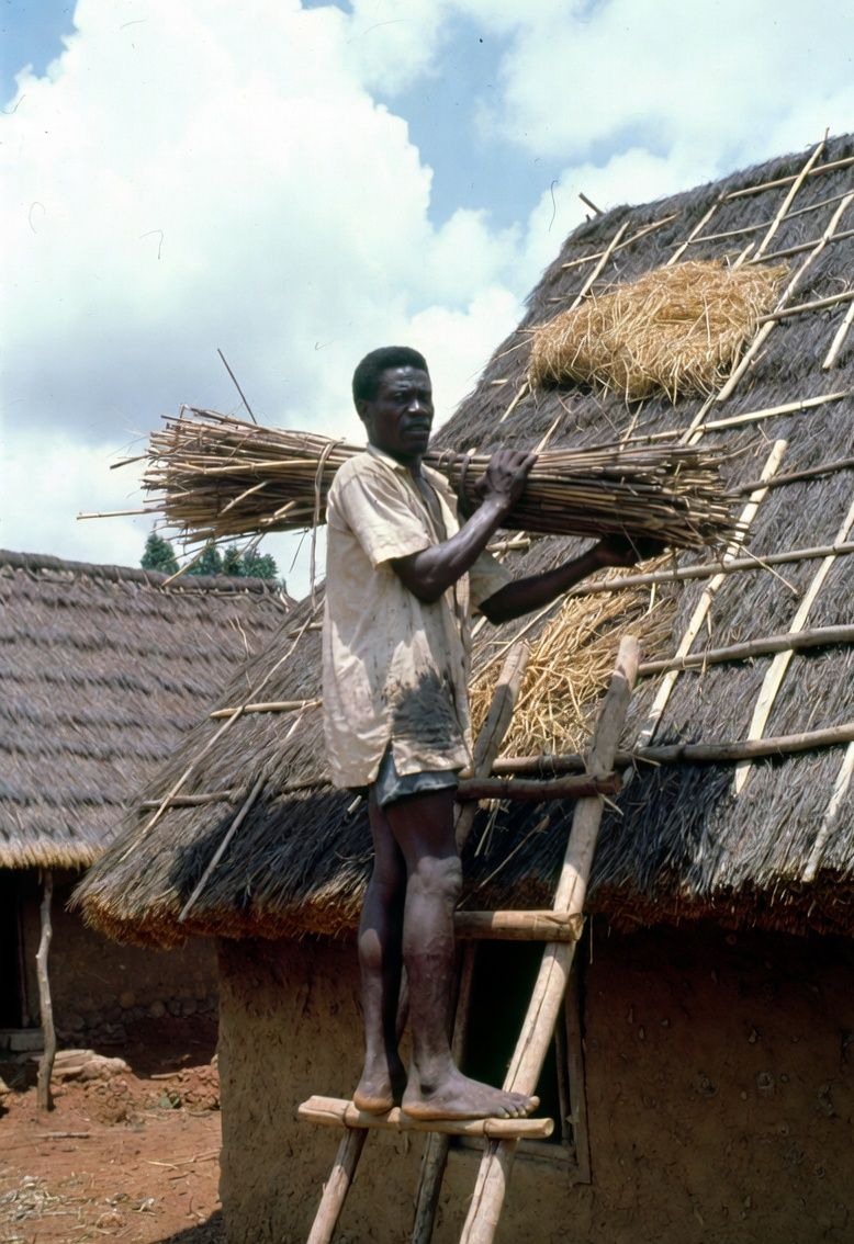 IKENGA_26's tweet photo. Gm
"Ụtụtụ ọma nwa m! ☀️🦅
'Mgbe onye ji teta bu ututu ya
May your path today be smooth like akwete cloth, your hustle sweet like palm wine, and your blessings plenty like market on eke day#IgboCulture #UtutuOma #IgboMotivation #ChiFoo #NdigboUnited #EzigboNwa" https://t.co/k3QpOyCVG4