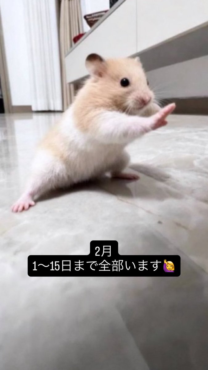 ねむ (@nemu_zange) / Posts / X