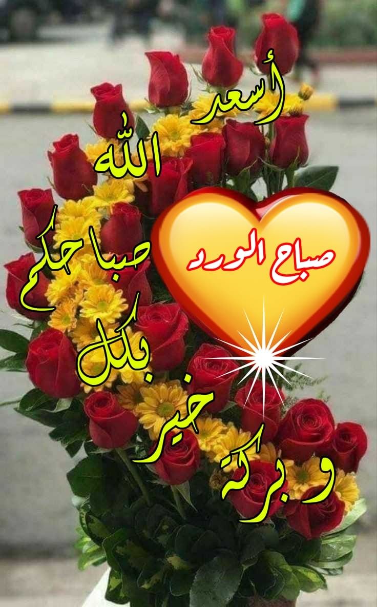 EkramKhali50162's tweet photo. 🥀يا رب .                        
ادخل السعادة في قلوبنا راحة في نفوسنا وعافية في ابداننا وبركاته في أعمارنا 🥀🥀.                                    آللهم اشفي مرضانا وارحم موتانا                                        اللهم صل وسلم على نبينا محمد وعلى آله وصحبه أجمعين. https://t.co/uqVlTs6cD6