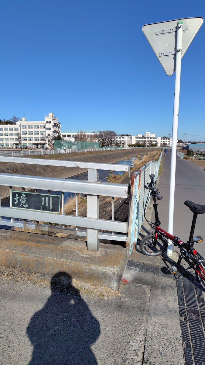 ミニ道 tweet media