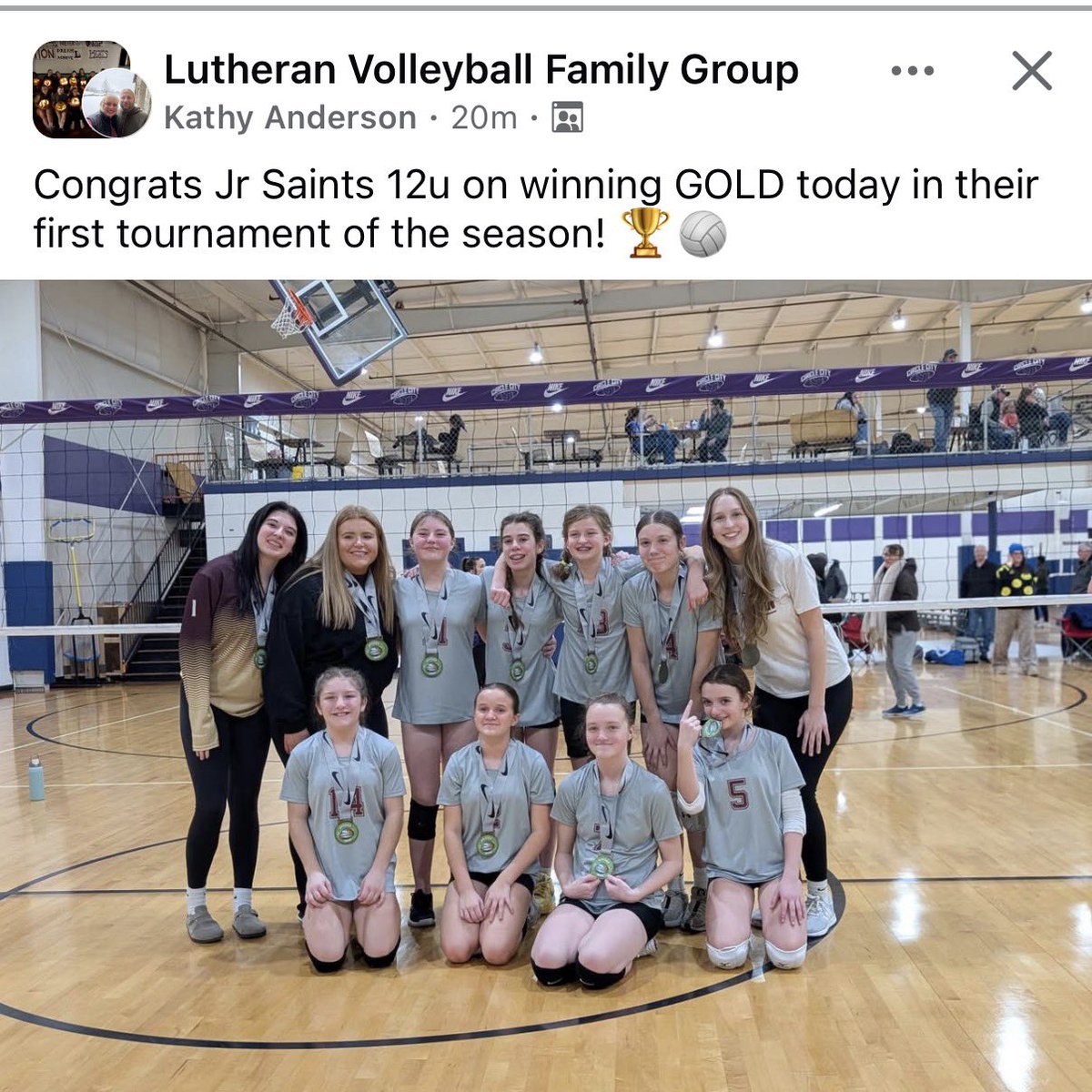 Lutheran High School Volleyball tweet media