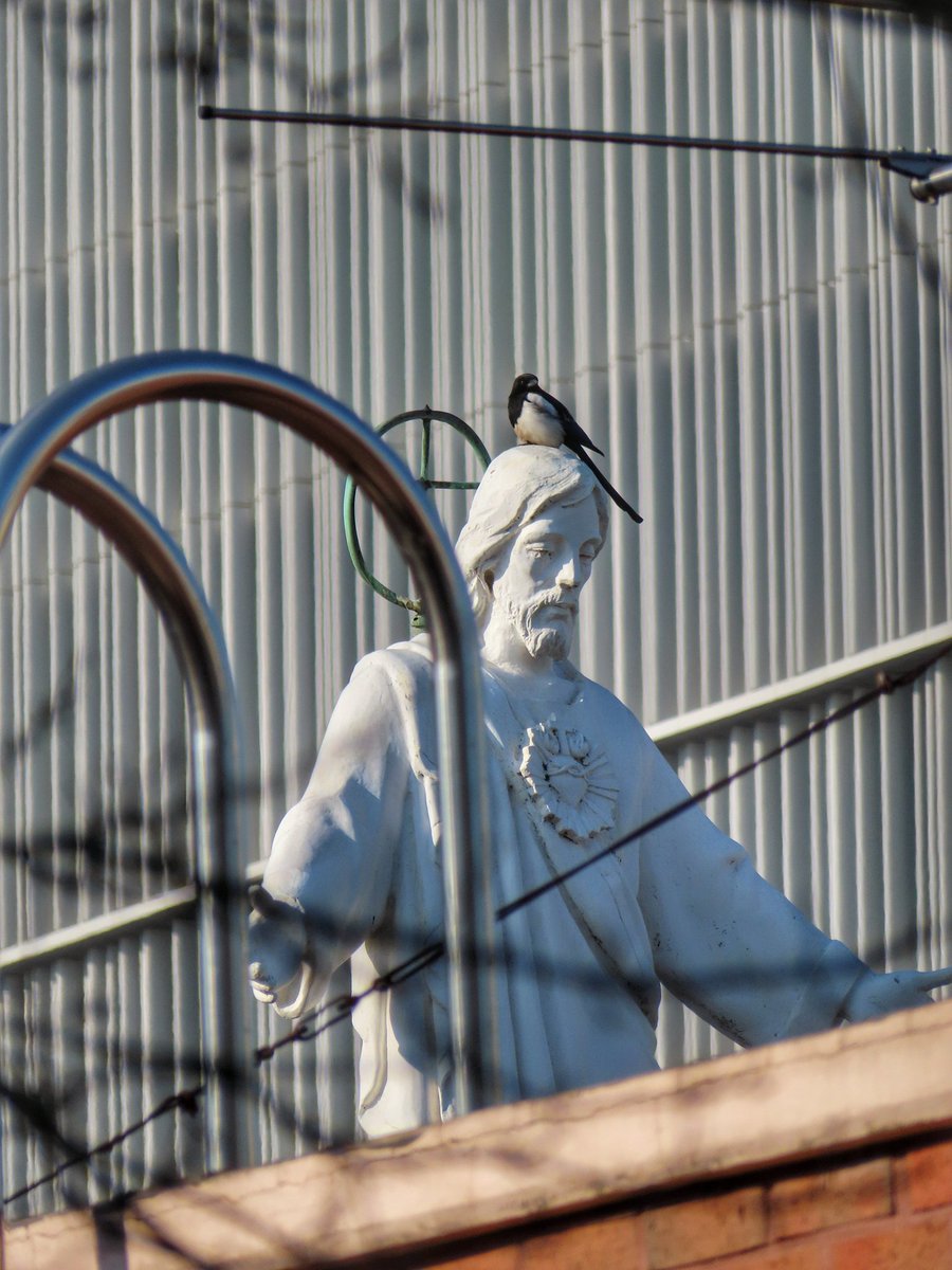 수고하고 무거운 짐진 자들아 다 내게로 오라 내가 너희를 쉬게 하리라