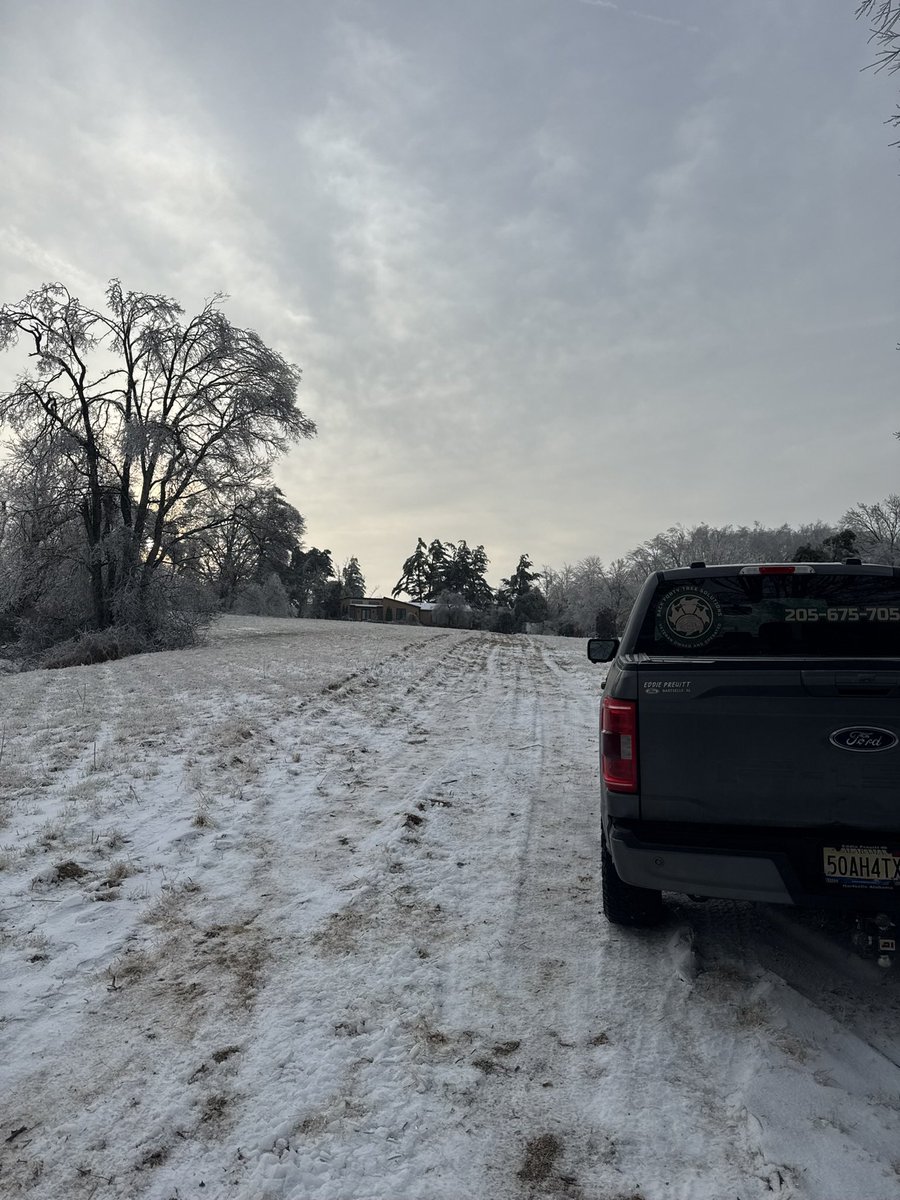 BlueCollarInvestor tweet media