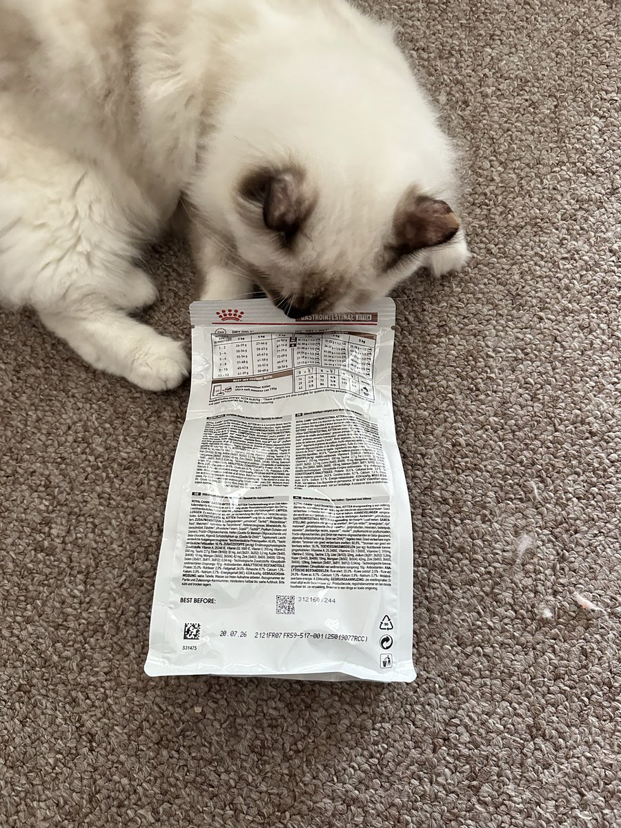 K🥨la || preloved pribadi tweet media