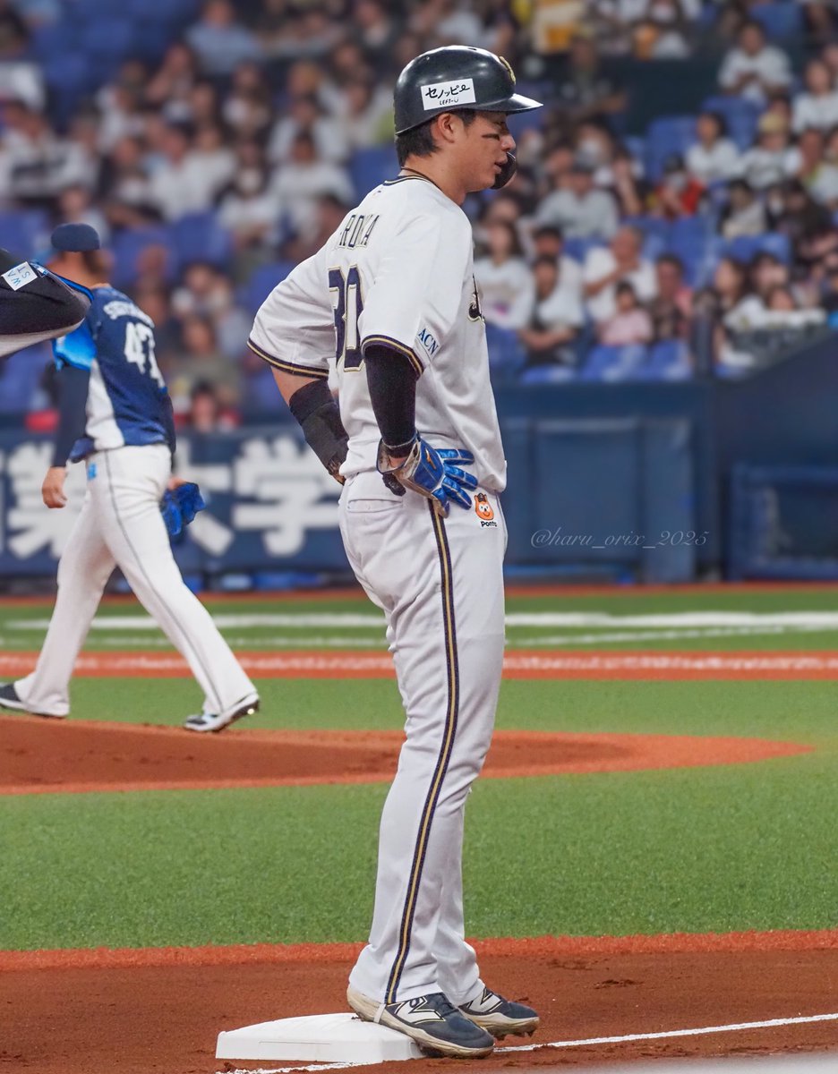 はる🎋🐶🩵🤎 tweet media