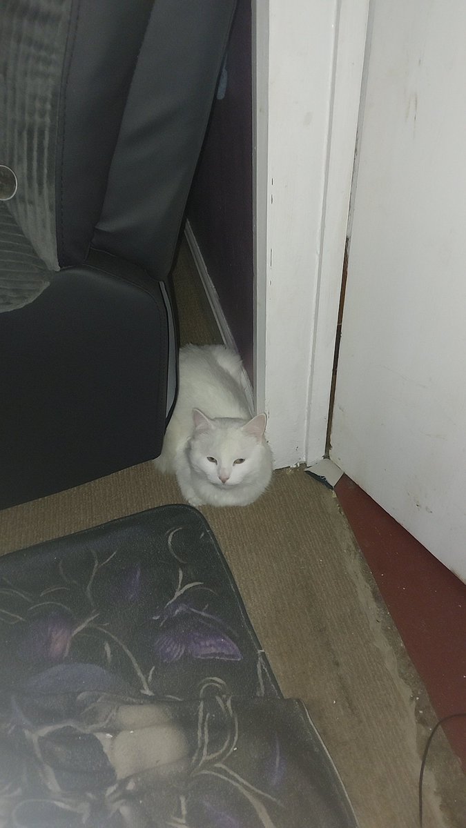 perfectmanda's tweet image. My gorgeous boy