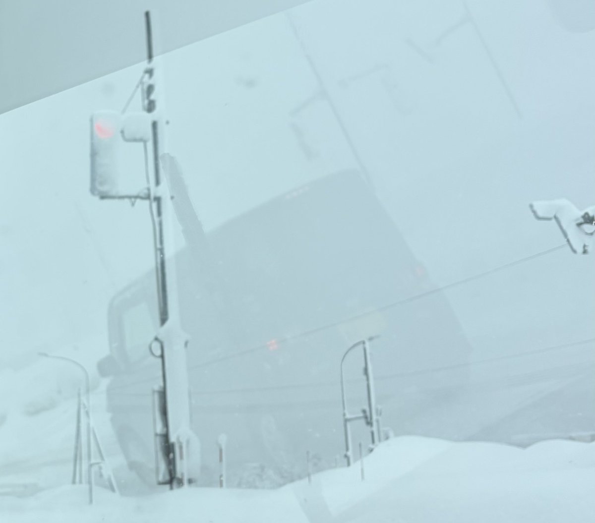 危うく赤信号を無視しそうになった、見えない💦