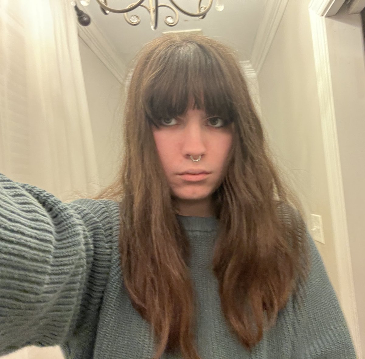 reverend berkeley malibu tweet media