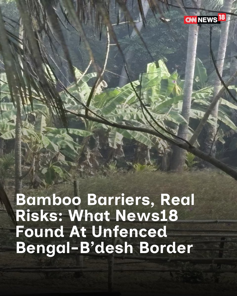 CNNnews18's tweet image. News18 visited unfenced border areas in Nadia district, specifically the Ranaghat-Duttaphulia region, located a little over two hours from Kolkata

@KamalikaSengupt | #Bangladesh #WestBengal #Border 

news18.com/india/bamboo-b…