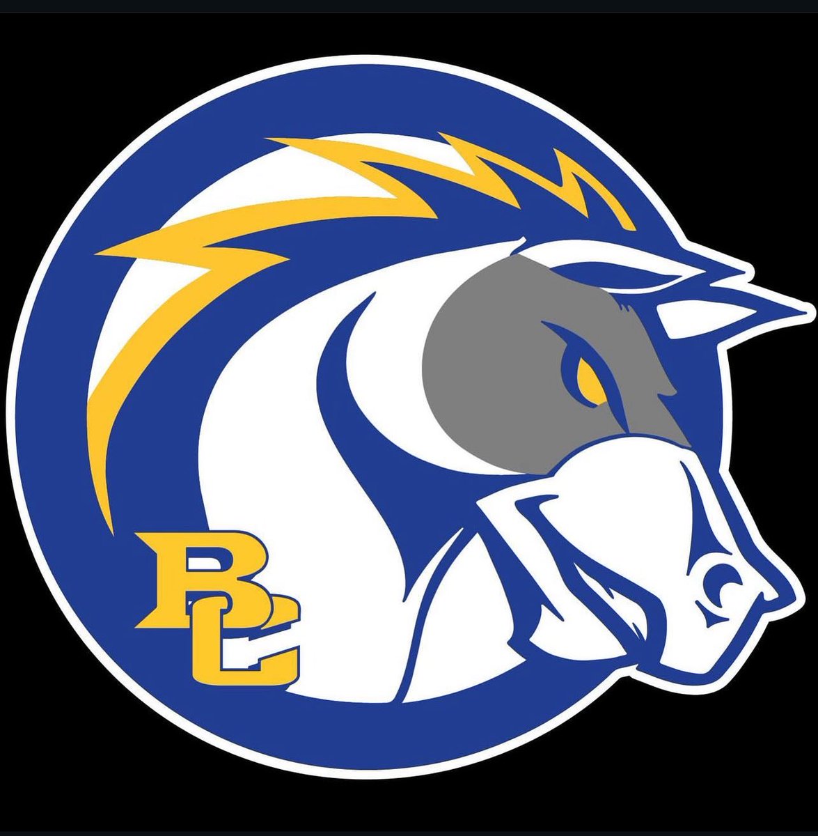 Dasius7's tweet photo. After a great visit and talk with @CoachLaDage I am blessed to receive my first collegiate offer from @BriarCliffFB https://t.co/2mWWE2xlRu