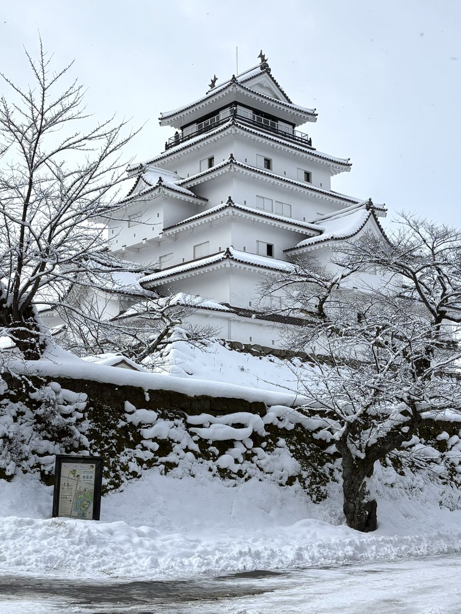 tsurugajo1965's tweet photo. こんにちは！
本日（2/1）の鶴ヶ城です🏯

鶴ヶ城の赤べこバリケード、雪に埋もれてかわいいです🥰

さて！今日も「會津雪まつり2026」開催中ですよ☃️✨
かまくら抹茶体験や、夕方からは東山芸妓さんとの記念撮影会を予定しております♪

ぜひ、お越しくださいね〜！！

#會津雪まつり #鶴ヶ城 https://t.co/CJvC4hpWNf