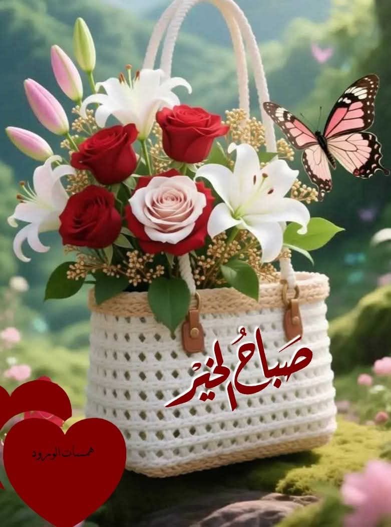 💕عبير 🥀 tweet media
