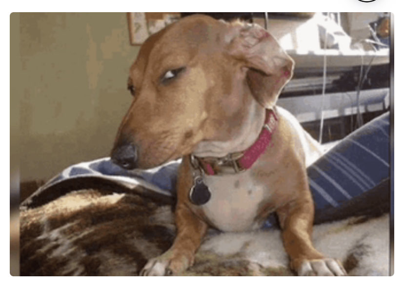 Steve Bookbinder tweet media