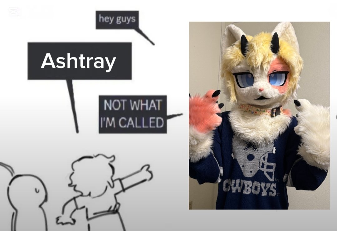 Ashtray Cat
<a href="/astrei_cat/">🎧 astrei 🎧</a>