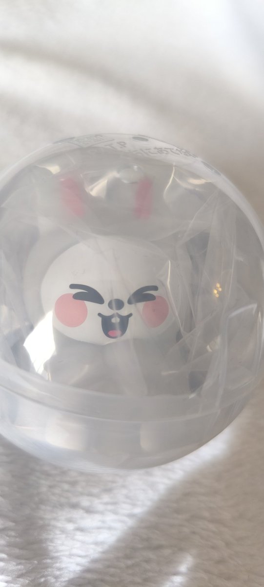 isbz915's tweet photo. Stray Kids スキズ　SKZOO ライトマスコット　ガチャ　ガシャポン　交換

譲）リービット🐰

求）ポガリ🐥

本日（2/1 夕方）エキシビション手渡し＞都内手渡し希望です。
お気軽にお声がけください🙏 https://t.co/QNb6mhVMRY