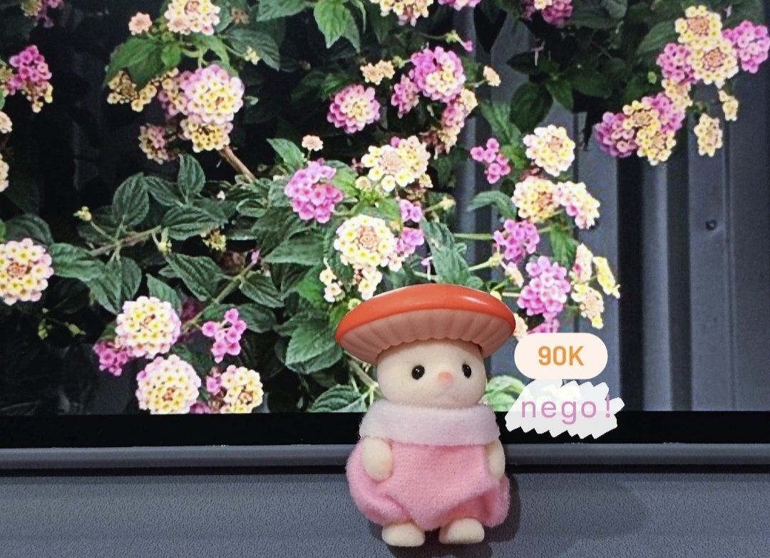 applelicious tweet media