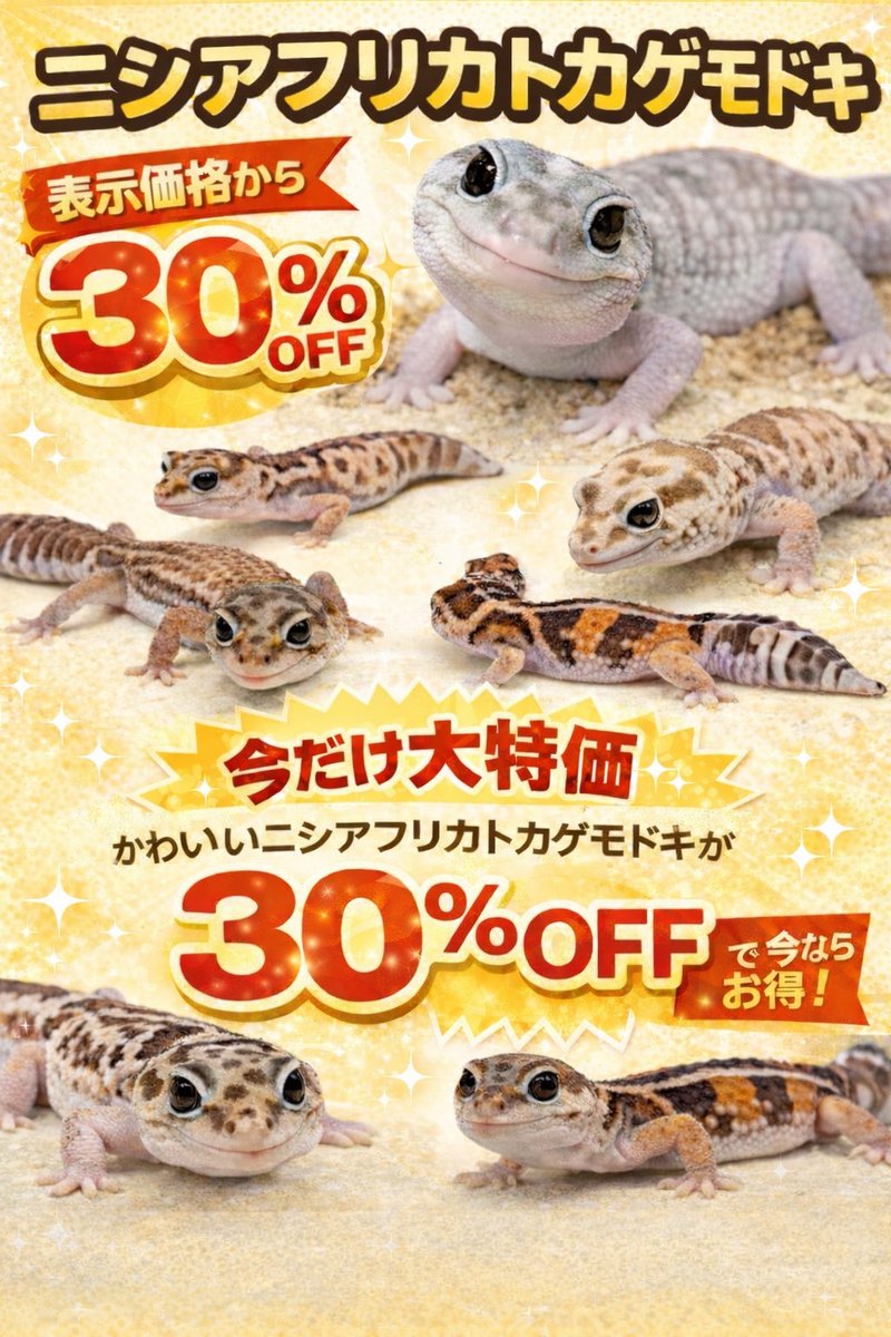 ジャングルハンター沖縄始まりました😃 ニシアフのSALEもやってます✨