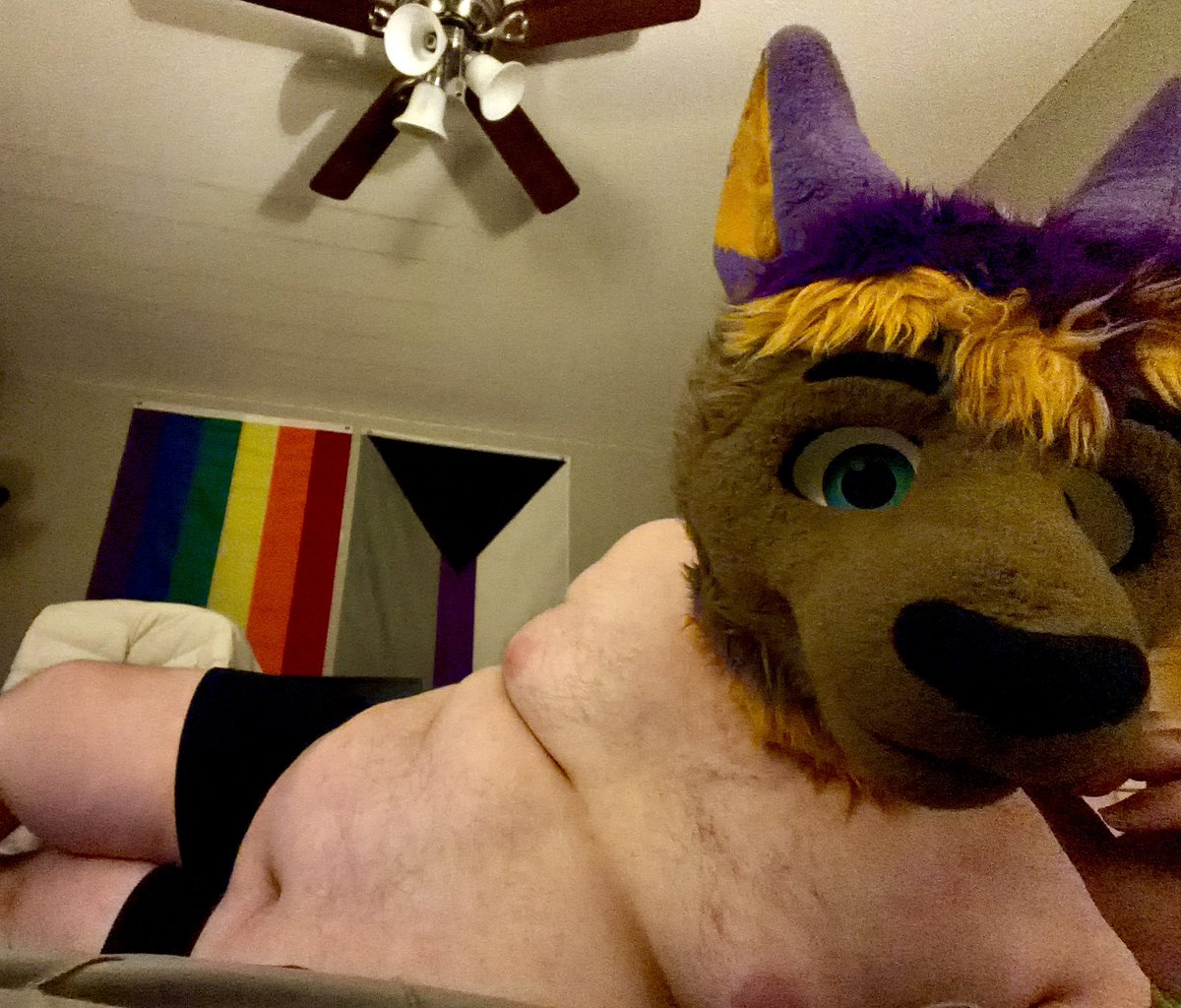 D R A K E 🔜 F W A / U S A tweet media