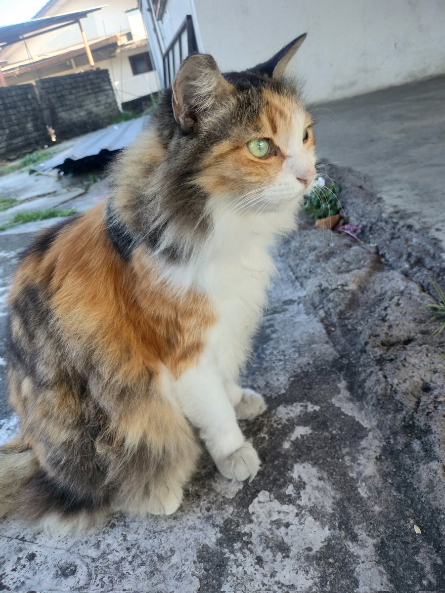 Skipper Lee tweet media