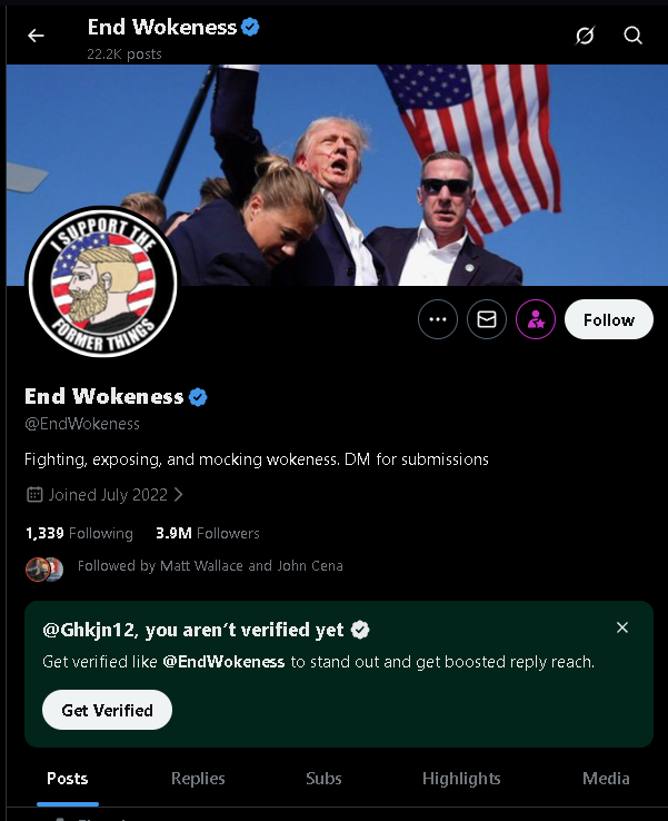 maga supporter accounts have to be ragebait AI accounts