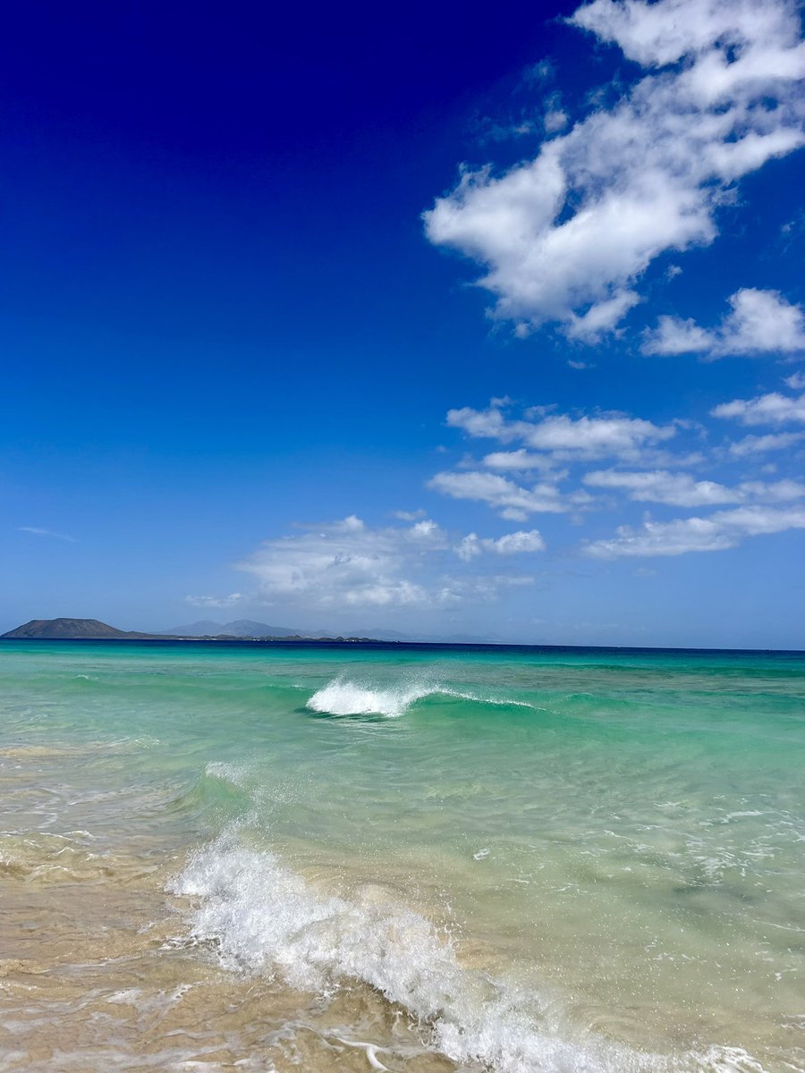 EvaCryptto's tweet image. International break was necessary 🌊