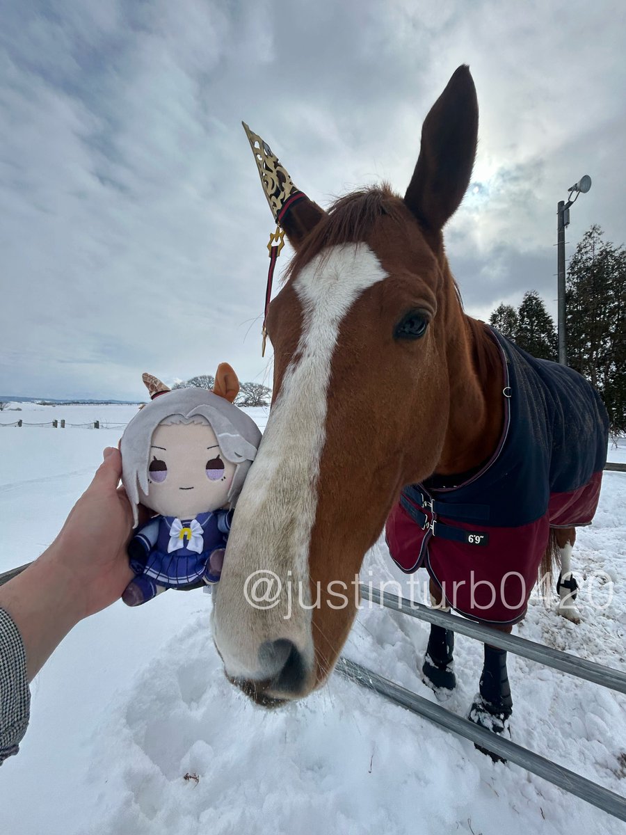 GOGOターボさん（ジャスティンターボ） (@justinturb0420) / Posts / X