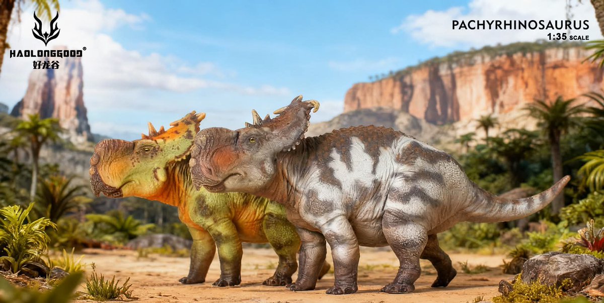 #𝗛𝗔𝗢𝗟𝗢𝗡𝗚𝗚𝗢𝗢𝗗 | #Pachyrhinosaurus (Nuevo color)

Material: PVC solido
Tamaño:  18cm. Largo x 5cm. Ancho x 9cm. Alto
Escala: 1:35
Variantes: Lü Fang HLG-036 (azul), Guo Sheng HLG -038 (verde)
Caja: 21.3cm x 11.3cm x 7.1cm