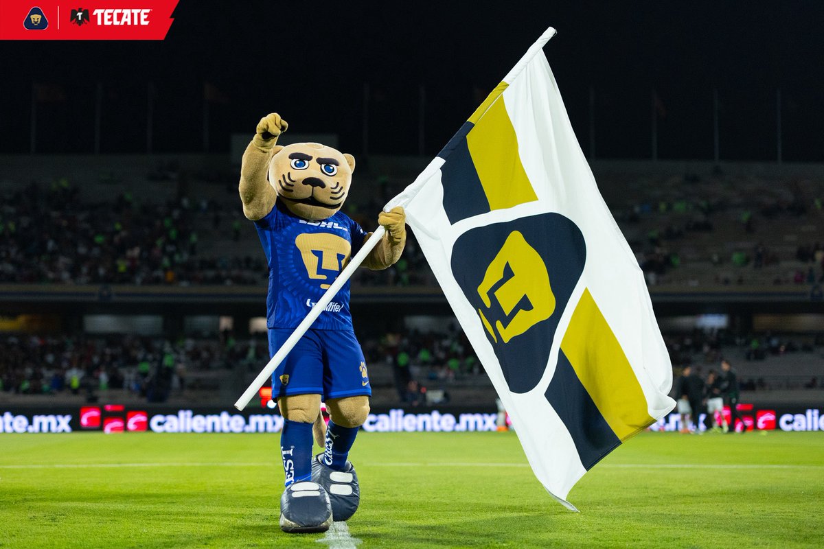 Una noche mágica en Ciudad Universitaria ✨🌖

📸 <a href="/CervezaTecate/">Cerveza Tecate</a> trae la galería de la victoria ante Santos. 💪🐾👊

#UnidosPorLaHistoria