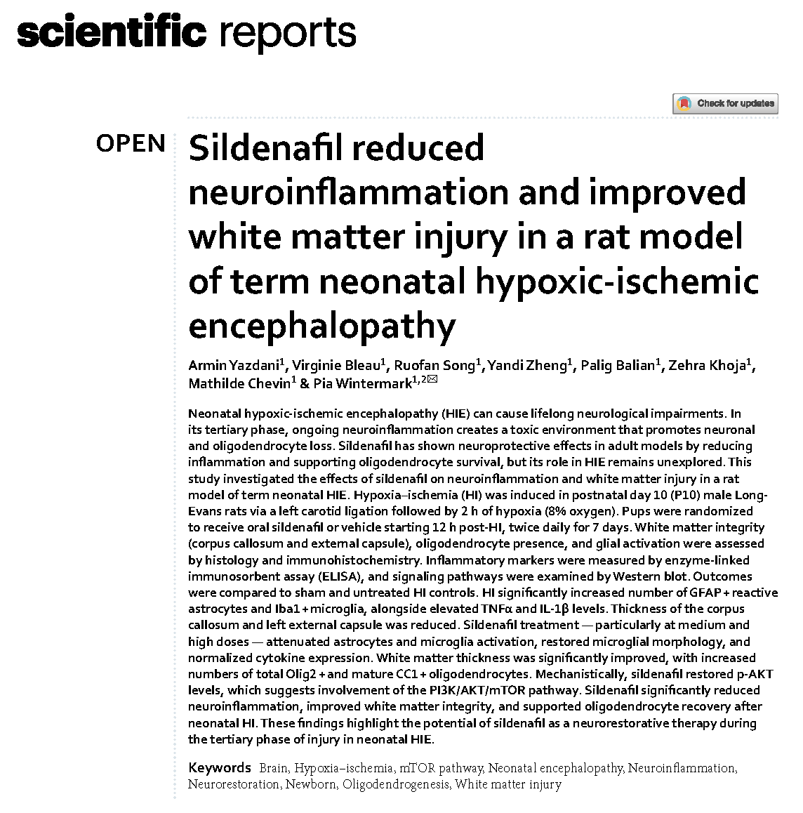 NeoBrainLab tweet media