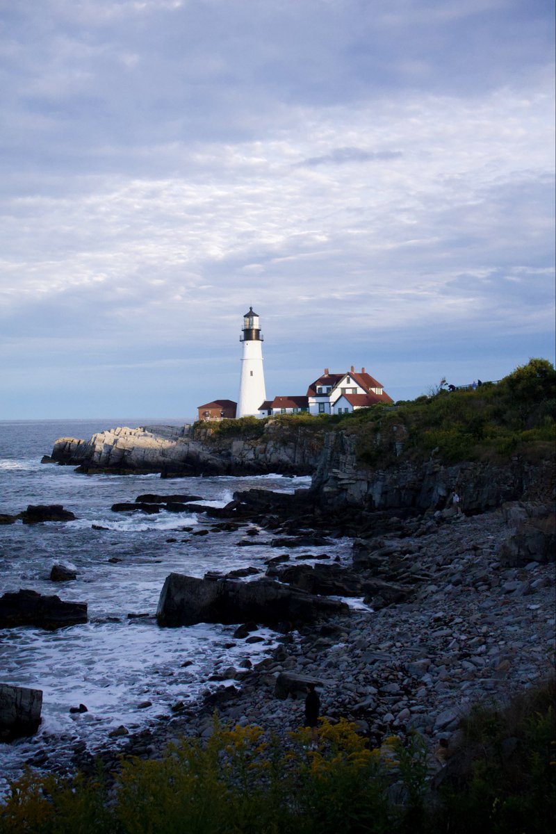 SoraGoesRogue's tweet photo. Portland,ME https://t.co/XleprFz9Ex
