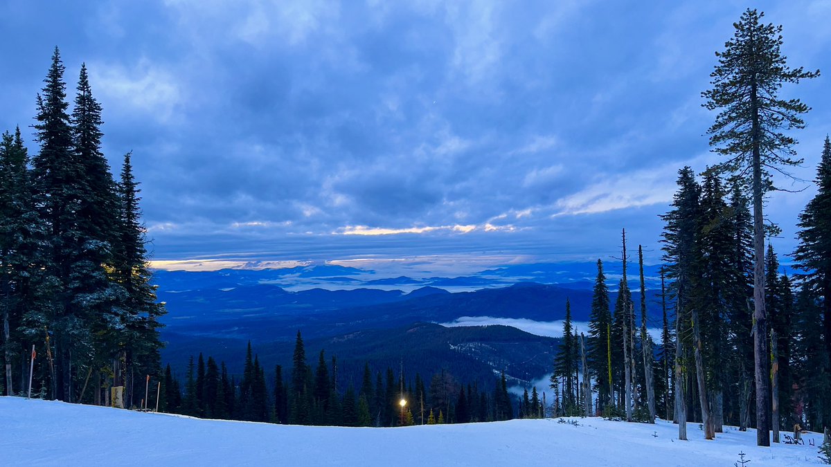 Don Pawluk tweet media