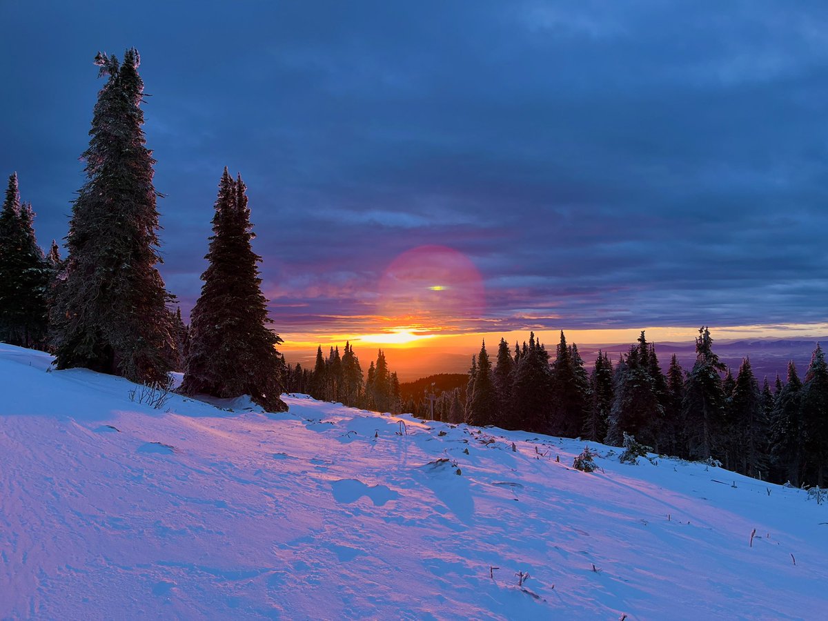 Don Pawluk tweet media