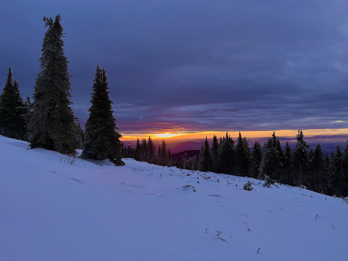 Don Pawluk tweet media