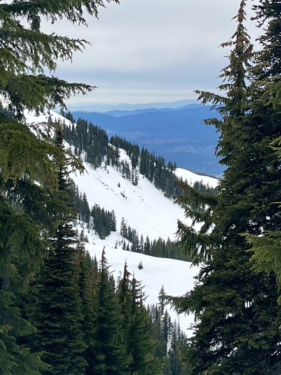 Don Pawluk tweet media