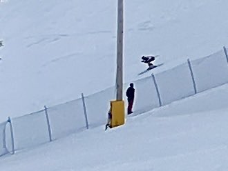 Don Pawluk tweet media