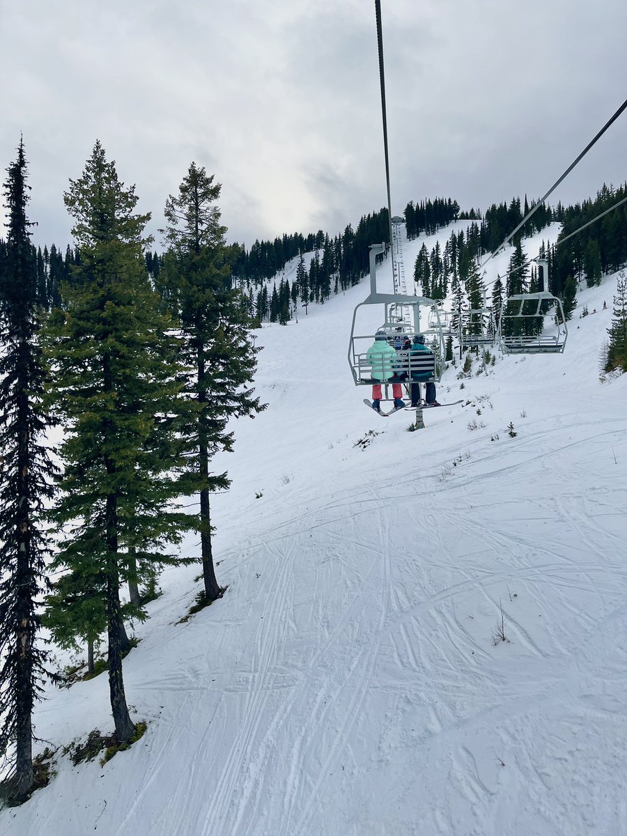 Don Pawluk tweet media