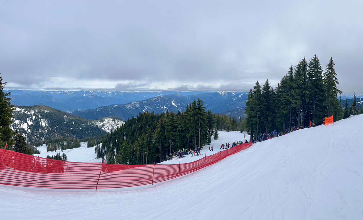 Don Pawluk tweet media