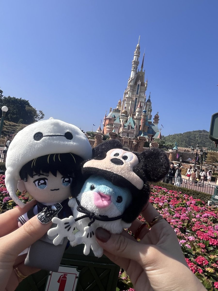 ぬい界隈の皆さんは
ご存知かもしれないんですが。。。
友人に教わって感動したライフハック
⭐️iPhoneカメラの倍率を×0.9にすると、
ぬいと背景どちらにもピントを合わせて撮れる！
これでぬい活QOL上がりました〜！
←before                           after→