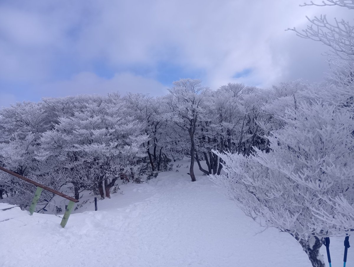 akuacu's tweet photo. 寒いです。 https://t.co/KIRJnKKwfQ