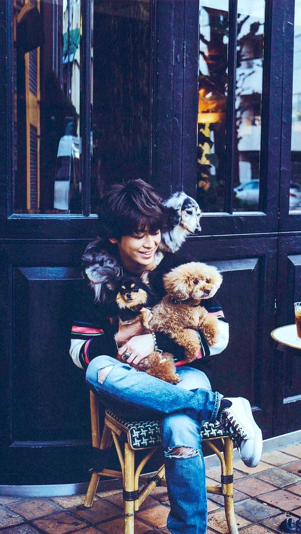 亀梨くんの愛犬たち

肩に乗ってる蘭ちゃん
右手に抱っこされてるチビクロちゃん
左手に抱っこされてるジェリーちゃん

亀梨くんがどの子も大切にし愛し慈しんでいることが伝わる大好きな１枚😊
#亀梨和也