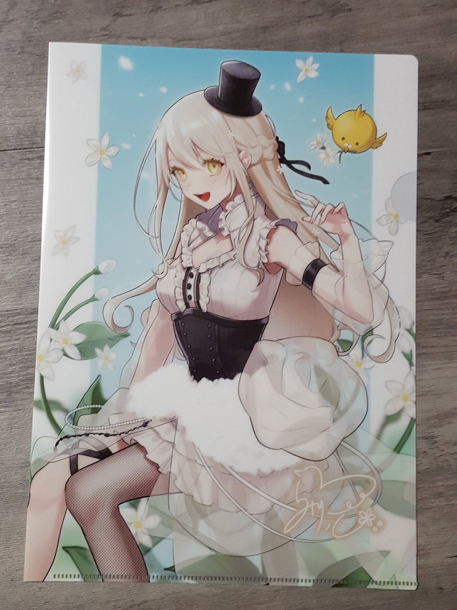 クリアファイル届いてた～😊 イラストはサイズ感が良くて美しい…！ 裏