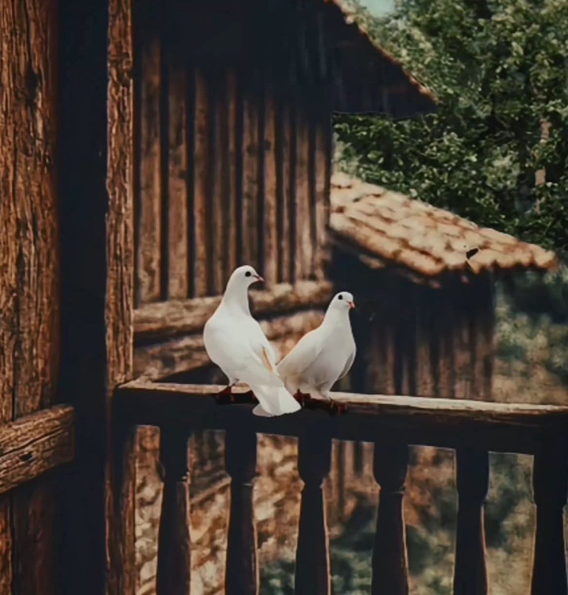 Ebrahim Al mannai.🇧🇭 tweet media