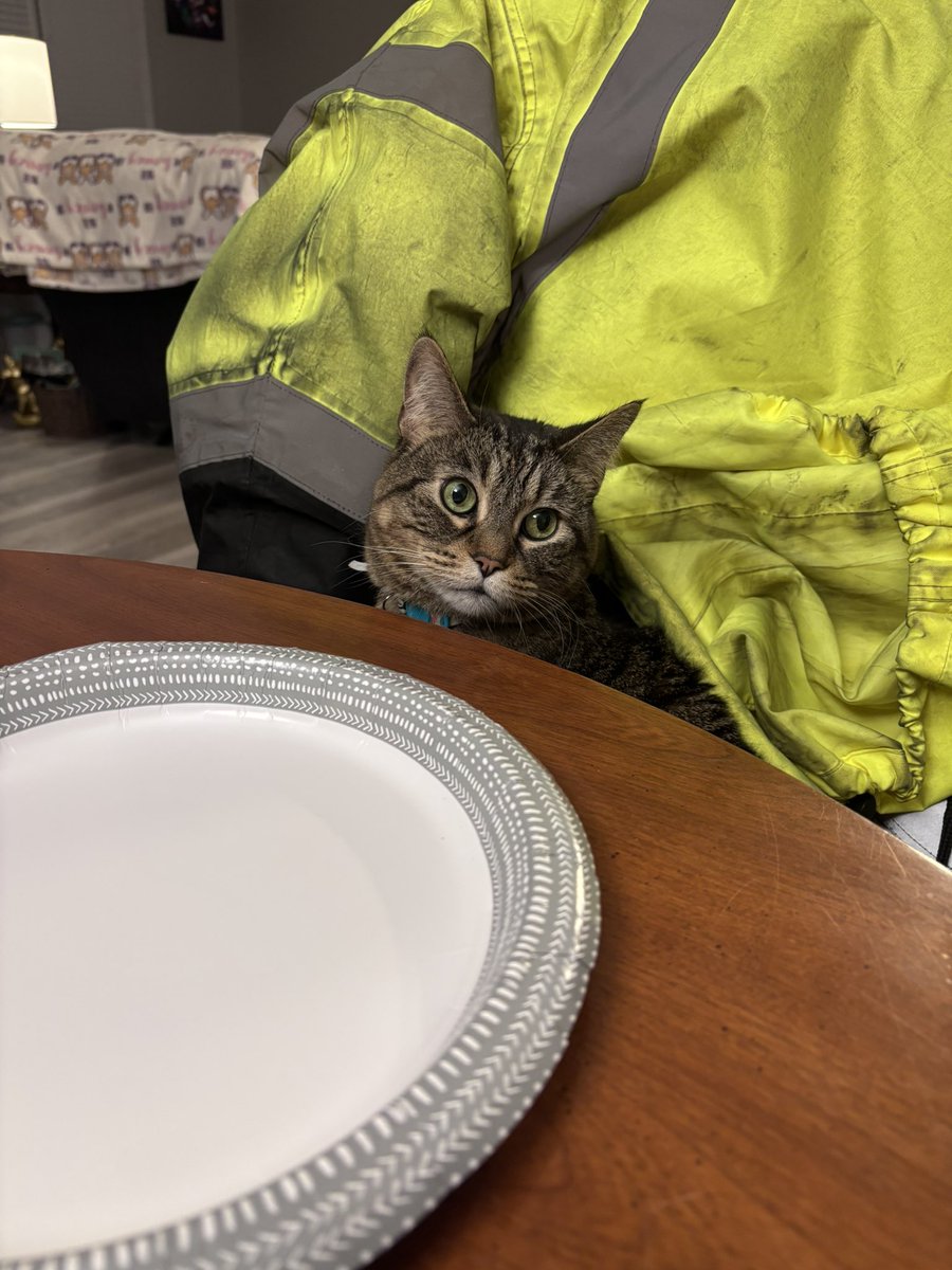 My furbabies are my world, they keep me smiling even on the worst days. 💖