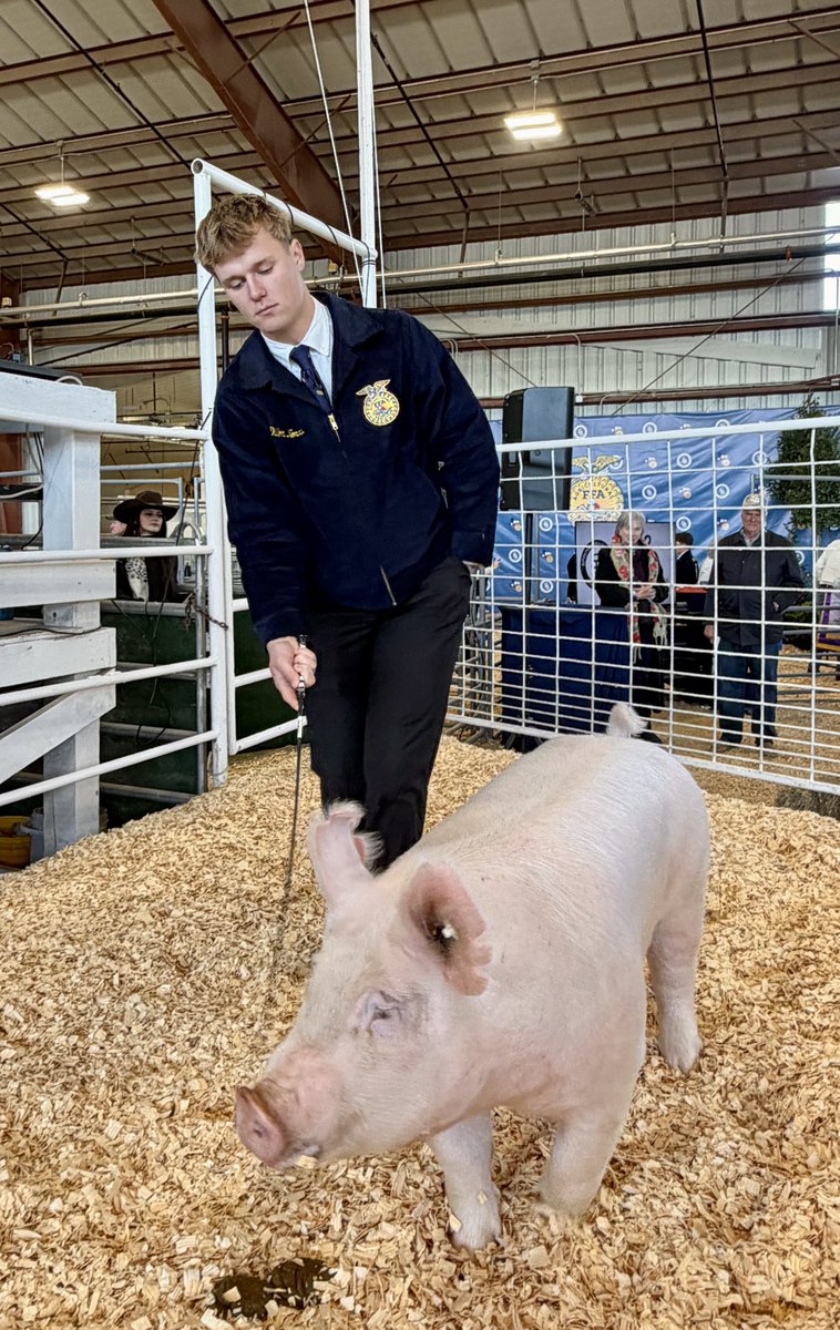 MustangHardball's tweet photo. Mustang Baseball Junior Dillion Norris participating in the SBISD Livestock Show!  
Placing 4th over all! 
#mustangproud https://t.co/uVhpZduK3y