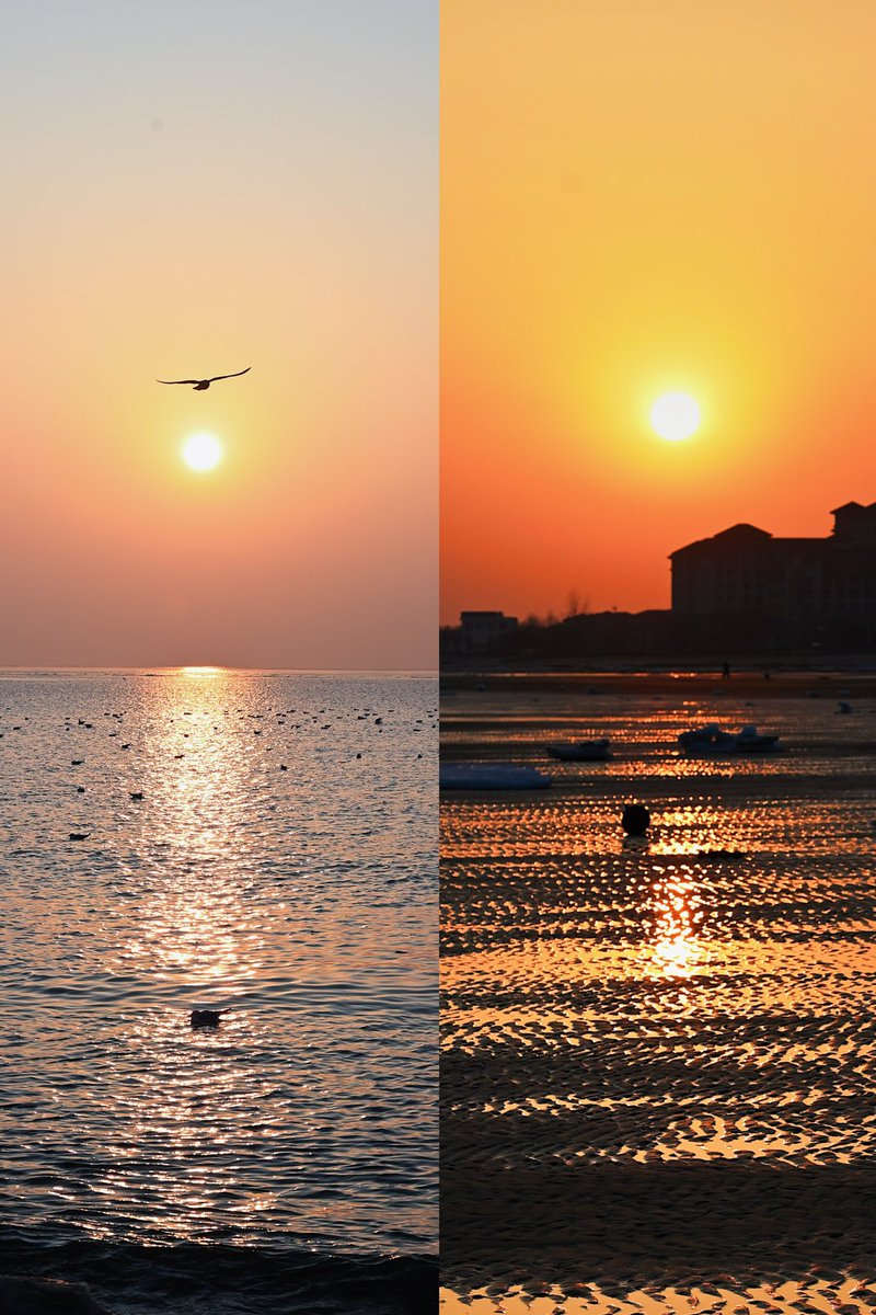 Yajie Zhao, 赵亚杰 tweet media