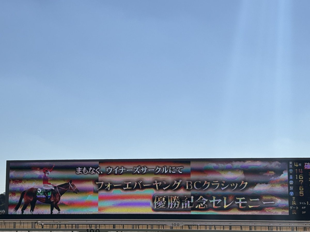 これを観に来た