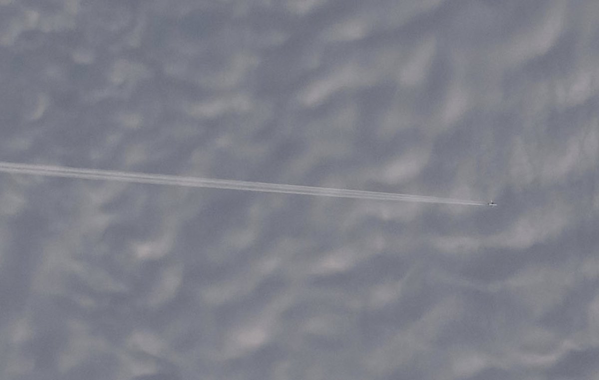 John McElhone tweet media