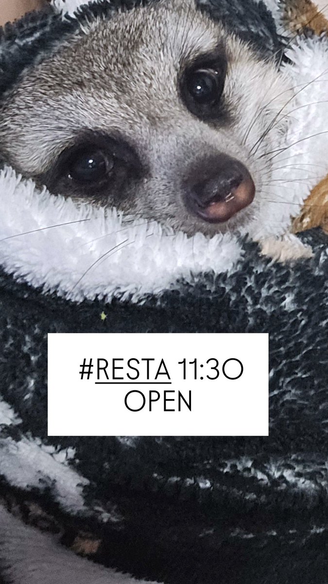 #RESTA 11:30 -  ̗̀ 𝙊𝙋𝙀𝙉 .ᐟ.ᐟ   ̖́-
ベースレッスン続々とご予約ありがとうございます🙇‍通われてる方はもちろん、レッスンの体験希望の初めての方もお気軽にご連絡ください✨

本日もお待ちしております☕✧
