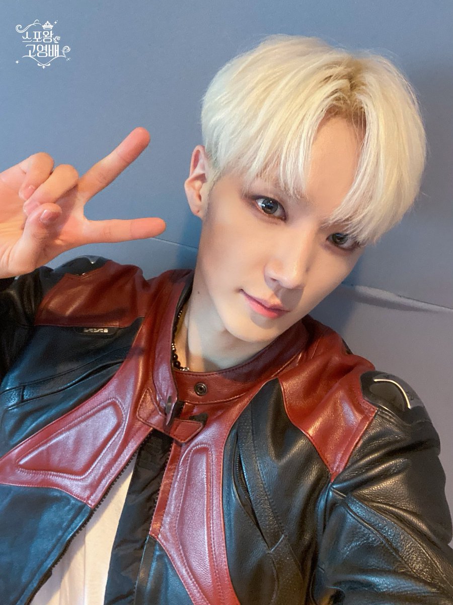 스포왕고영배 🤴🏻 tweet media